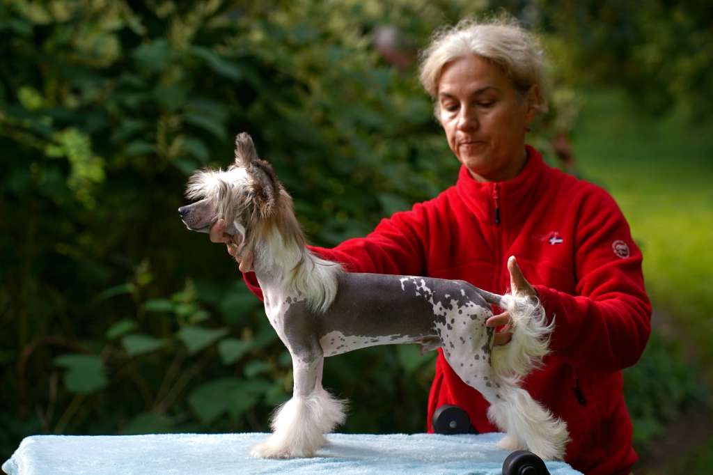 Kraspamir Mokka Mousse