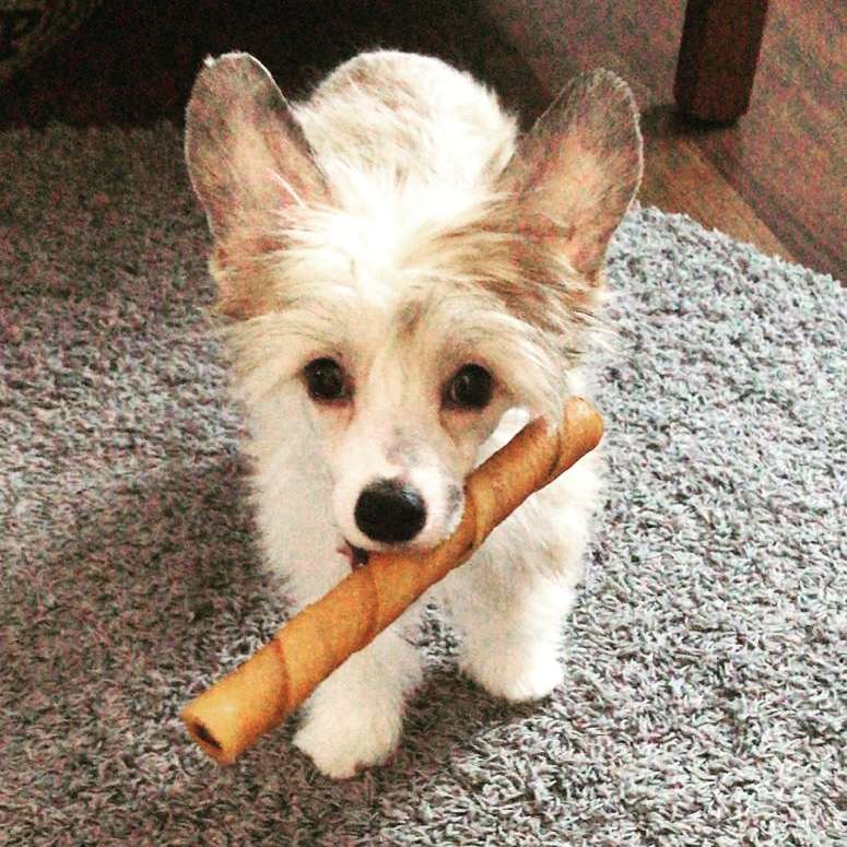 Sun Dan My Only Love