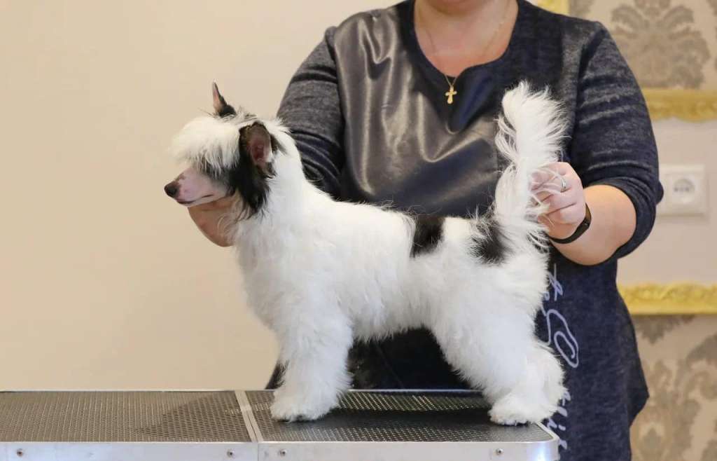 Rolana Family Monika