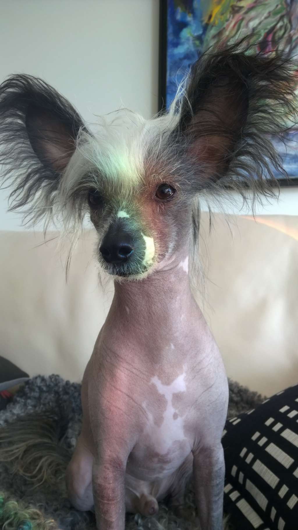 Krysolit Hole In One