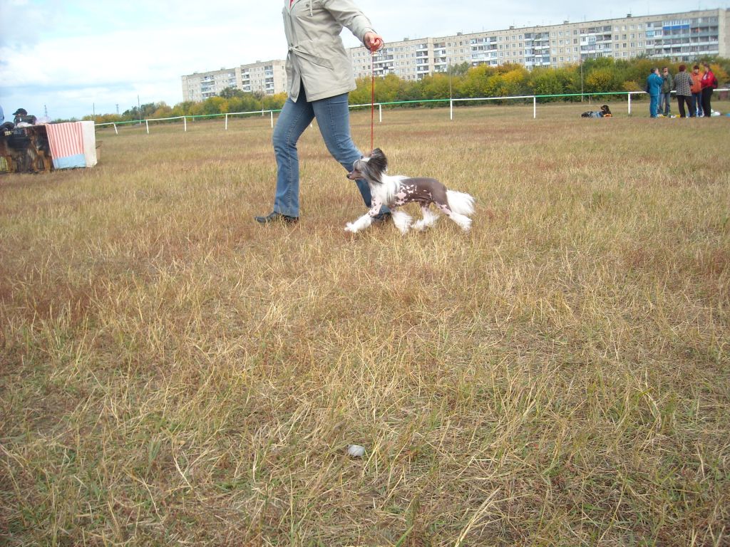 Picture