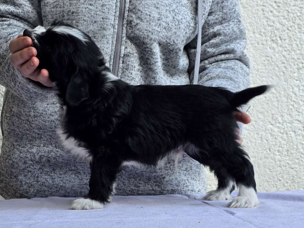 Be Brave von den Weinbergswölfen