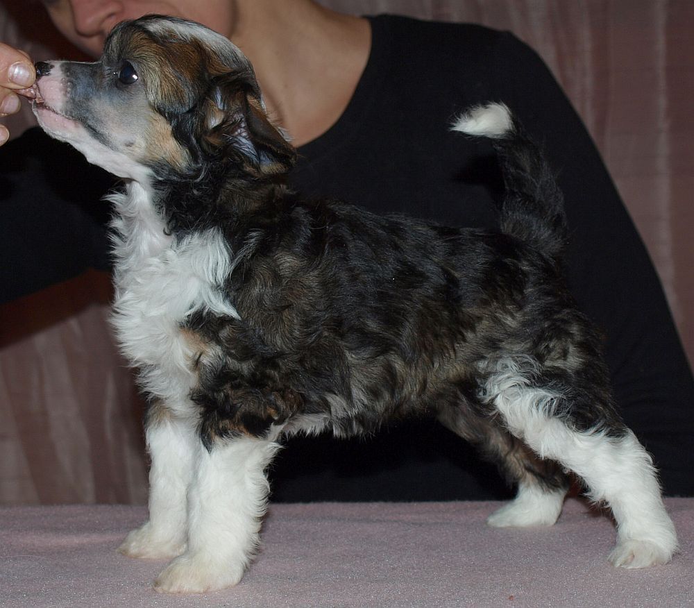 Chattanooga's Pink-A-Holic