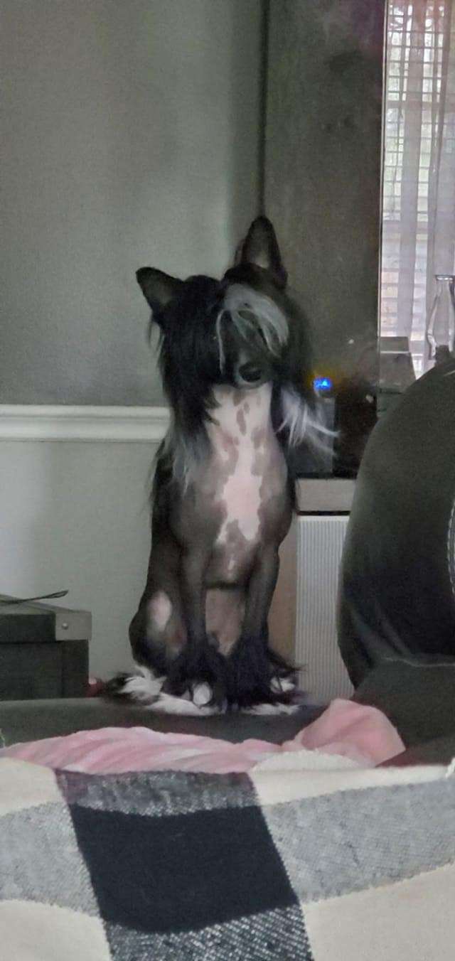 Grand Mojito Olyuti Gattaca