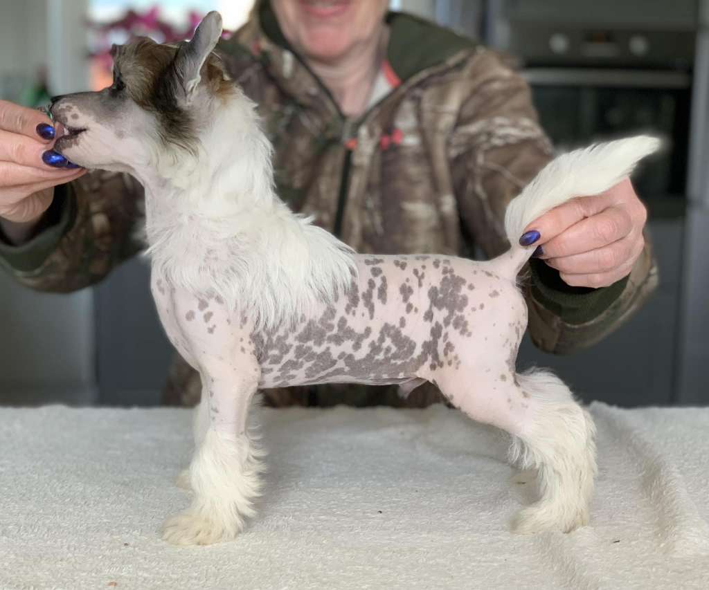 Drömtorpet's Raffiga Rune