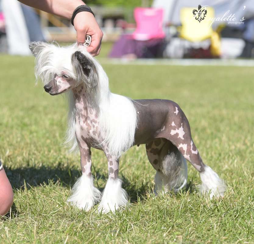 Valanyan Shake That Ass