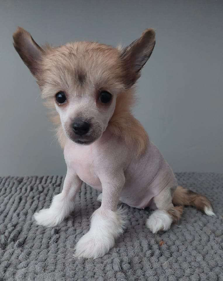 Concrete Clouds Nickname Naomi