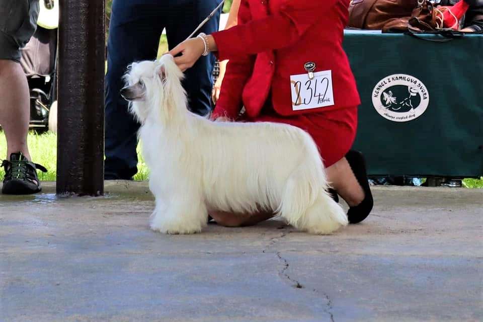 Galadriel Freuhartang