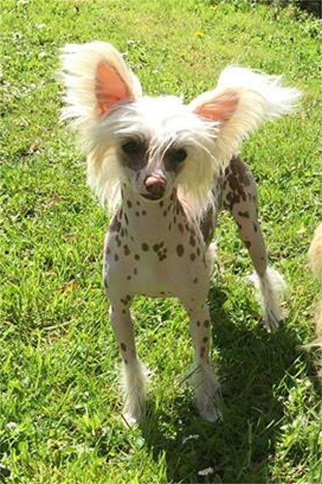 Ohna des Zéphyrs de l'Olympe