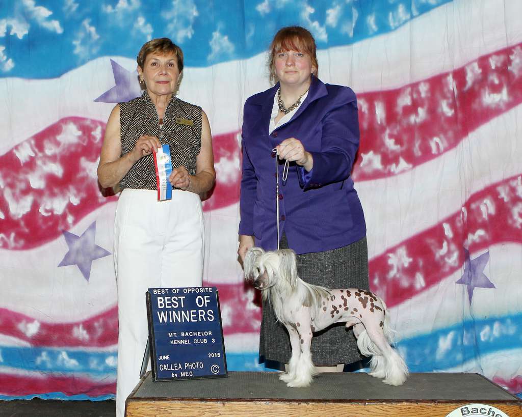 Xpozures Inspire To Desire Little Lover Eros