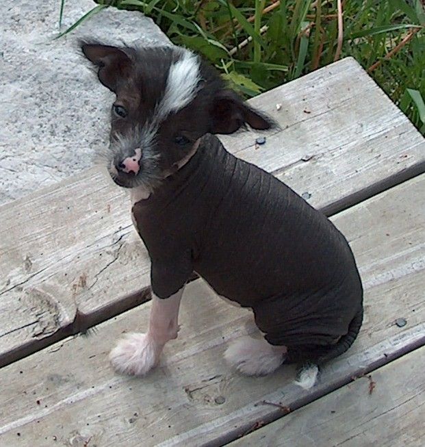 Leanonme's Mc Dreamy