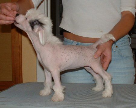 Sun-Hee's Unexpected