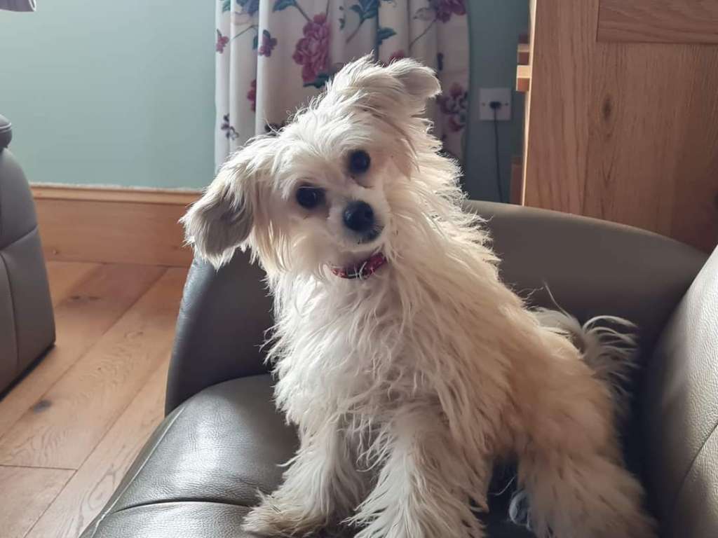 Parcauwen Fruit an Nut