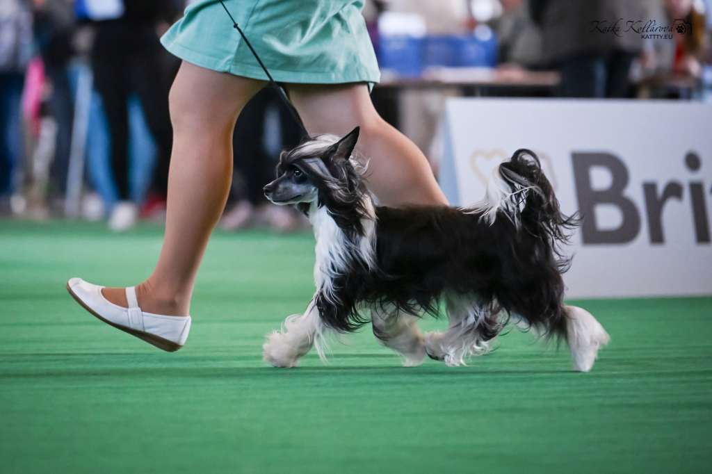 Cassidy Maytay's Minng