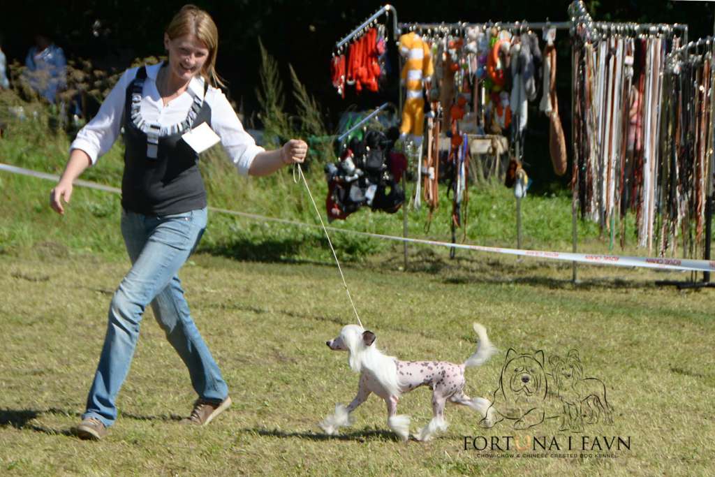 Fortuna I Favn Jerome Flayfi Legends