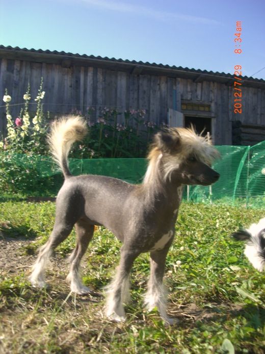 Russkiy Samurai Leonora Luiza