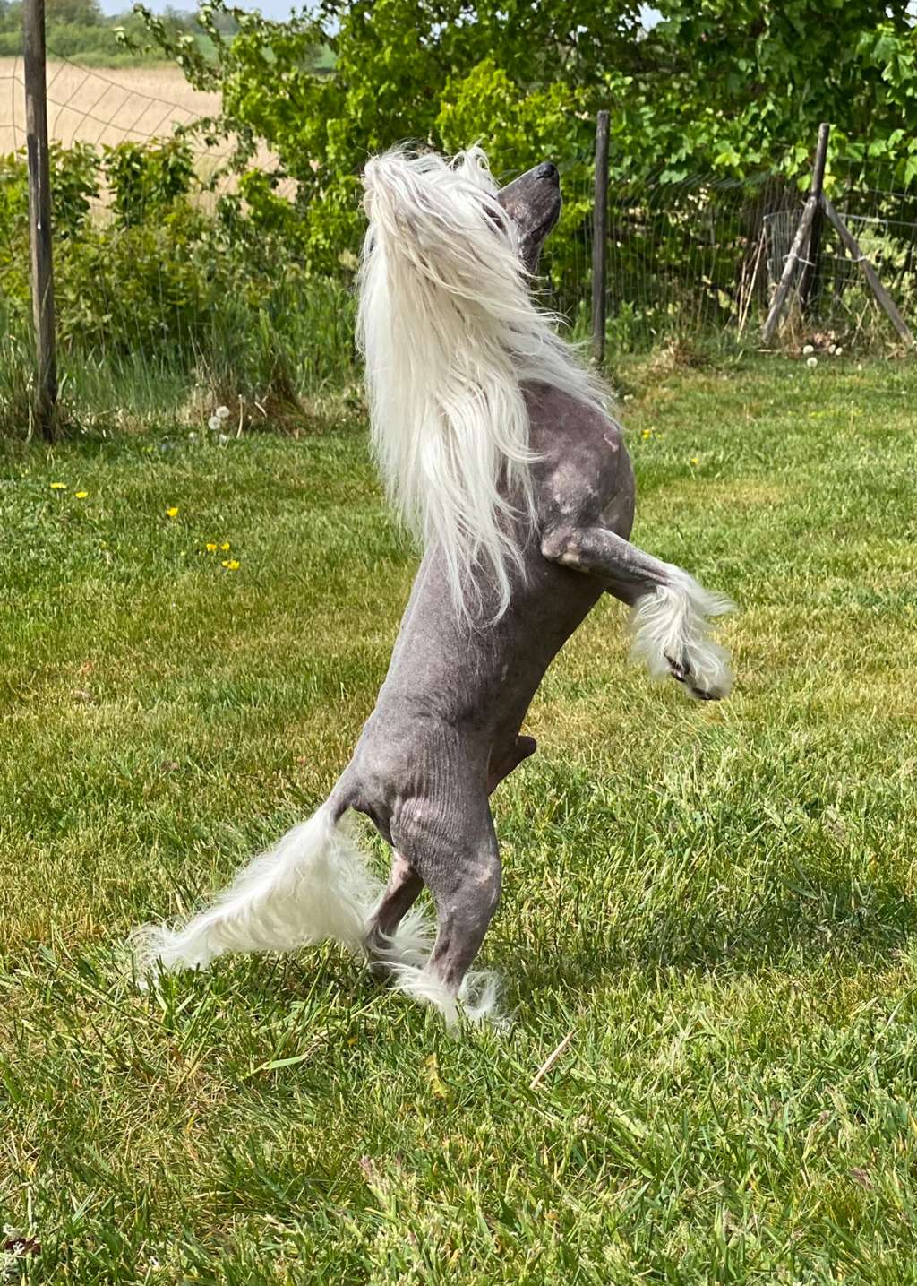 Twice as Nice Slippery When Wet