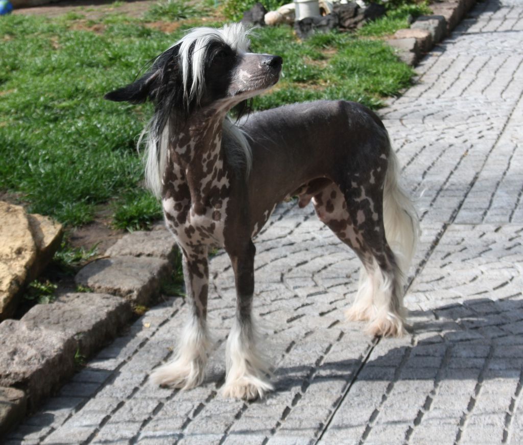 Famrus Target of Success