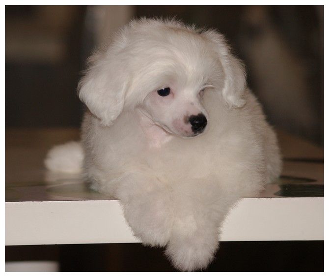 Gabbana Du Coeur Des Tenebres