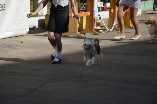 Unreal Krutbl Simona Winsom