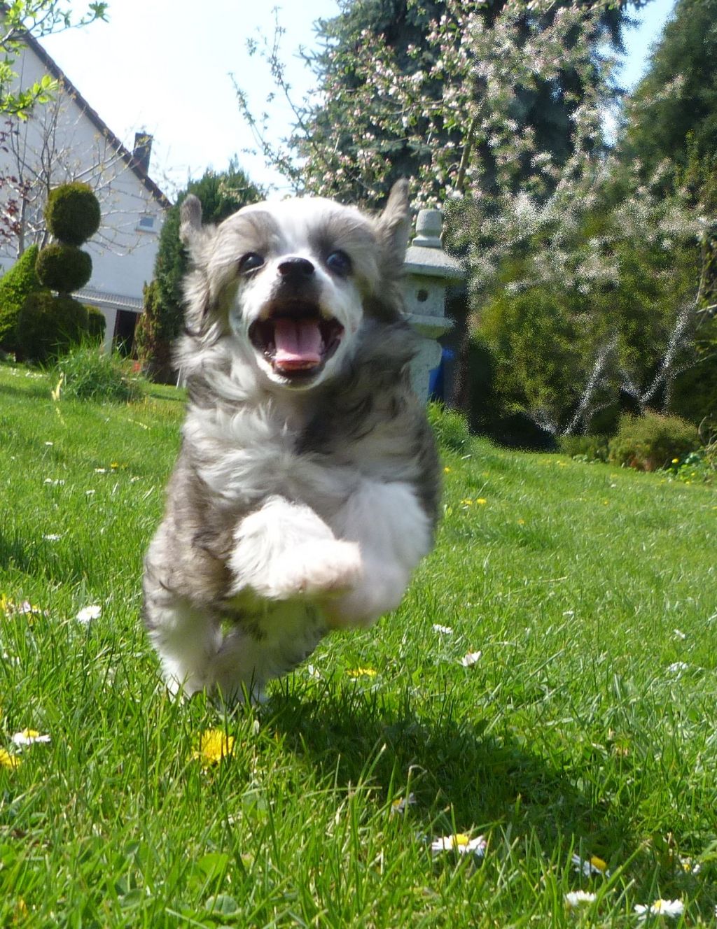 Yunao's Jamika Jida Jindrai