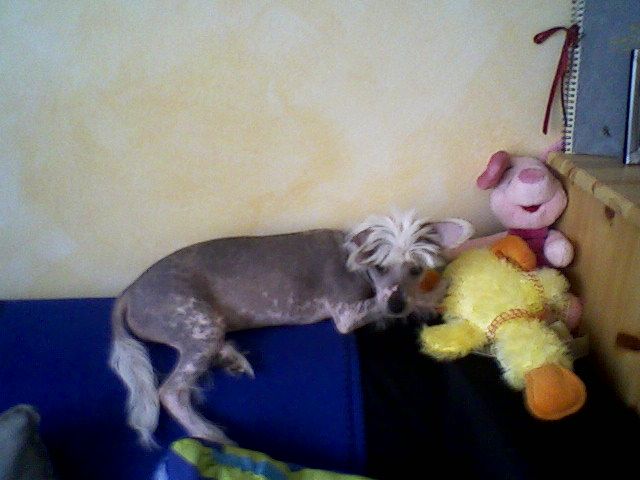 Picture