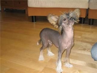 Candy Queen's Hot Redhead