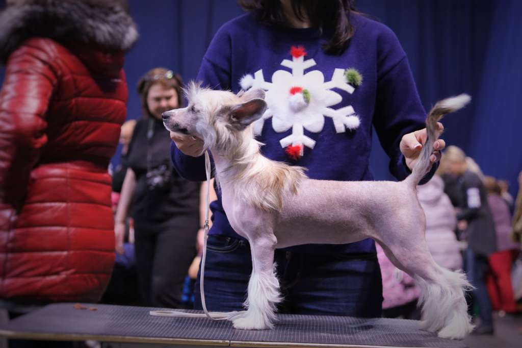 Samara Beauty Barbara Glamour Diva