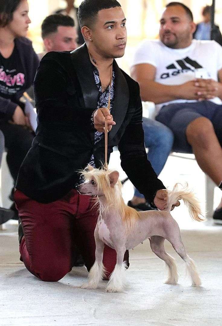 Magnus Staff Queen Elizabeth