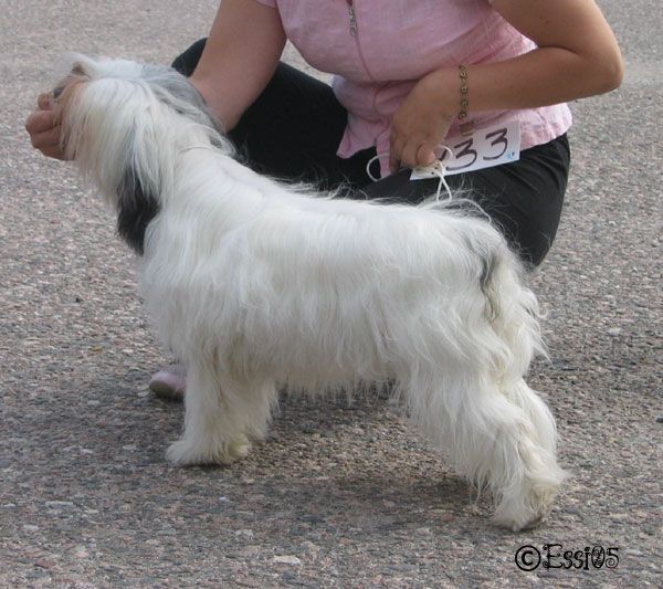 Chattanooga's In Your Dreams