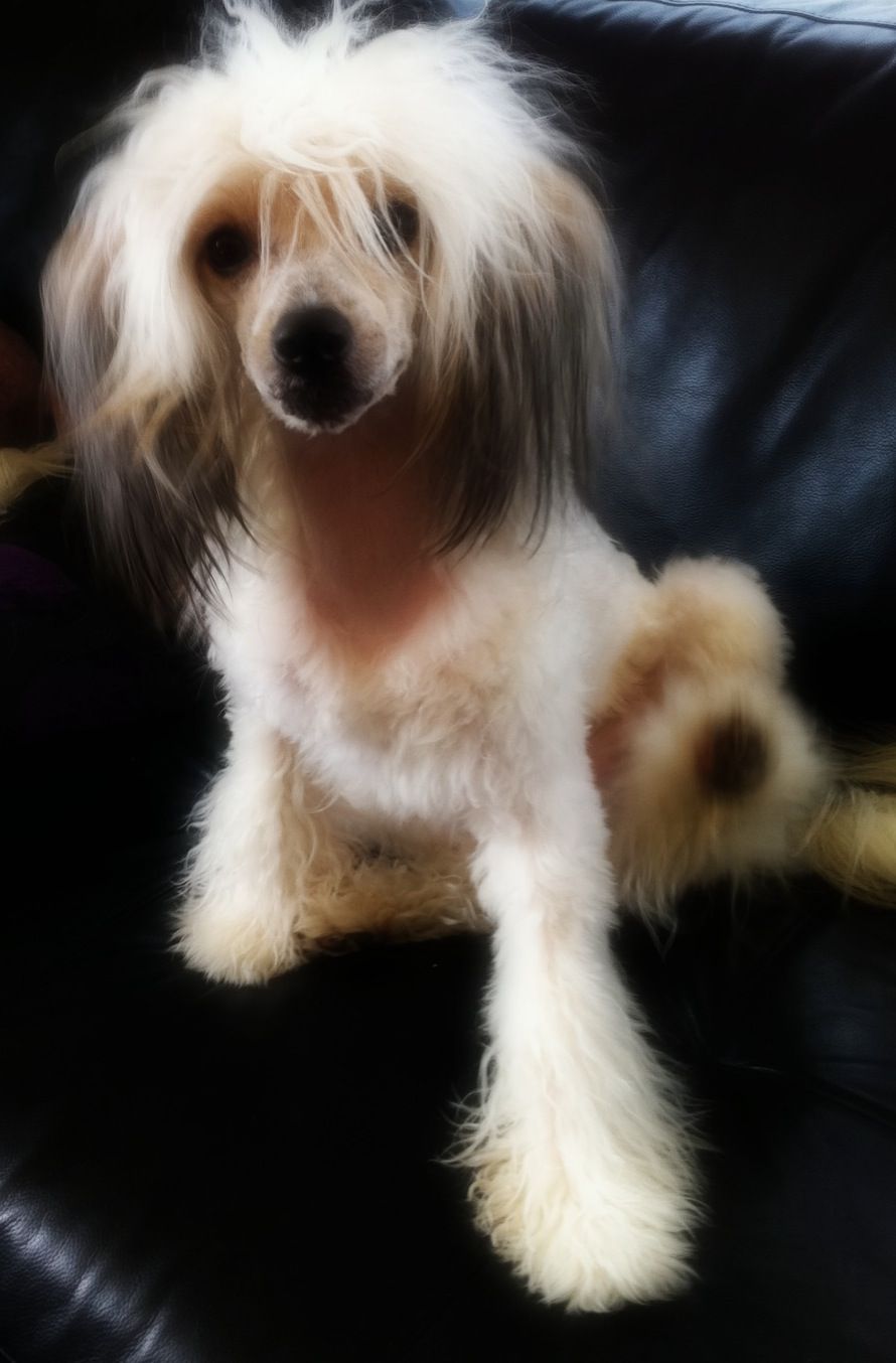 Sørås-Siden's Milo