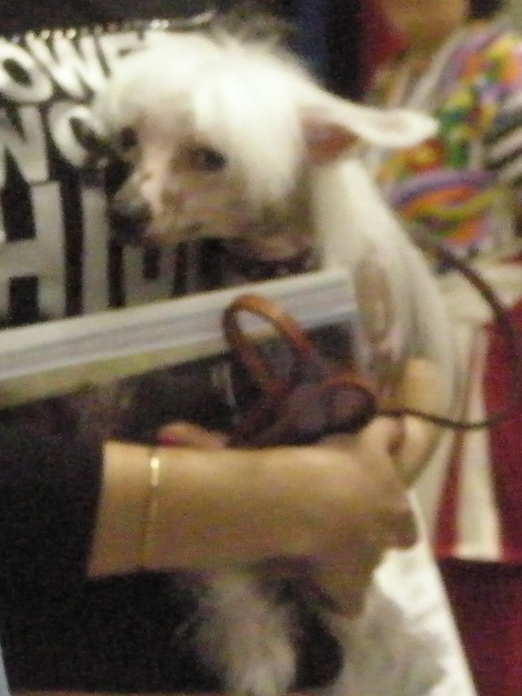 Nju Art Vesnushka v Ladolshke na Schast'e