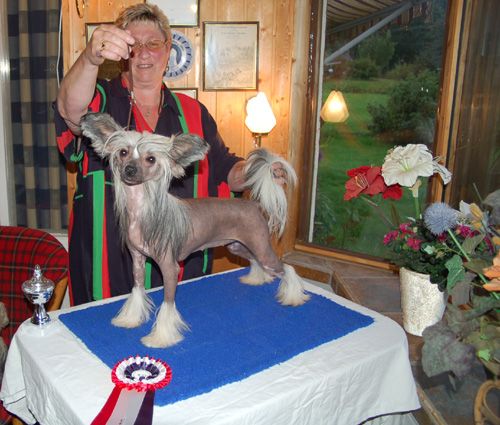 De La Mahafu's I'M Dinah