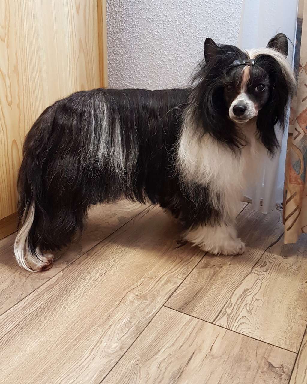 Icebreaker of the Heart of Candymoor Castle