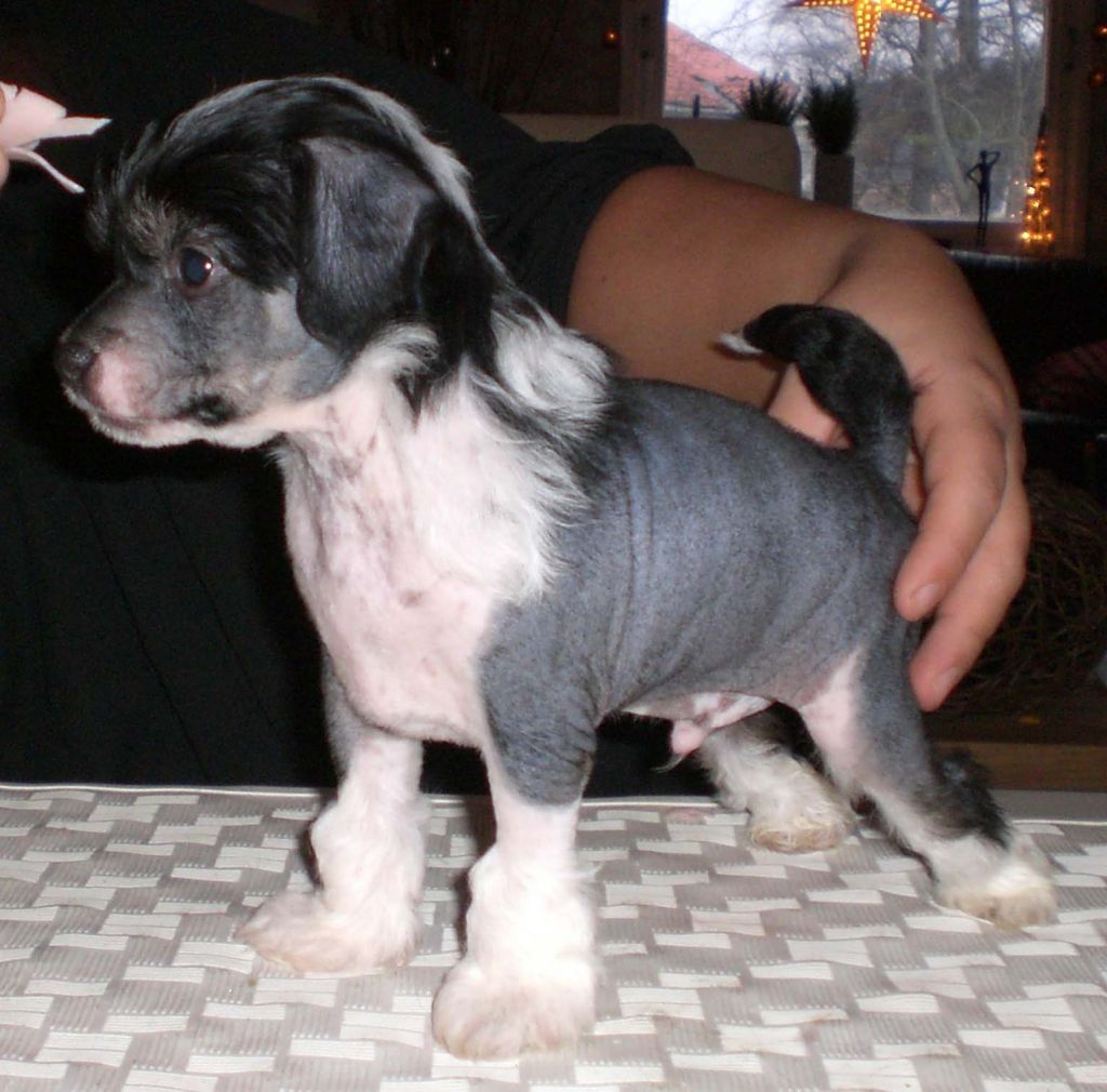 Sun-Hee's Dark Firedancer