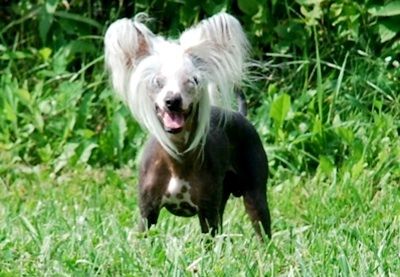 SandStorm So Cute N My Birthday Suit