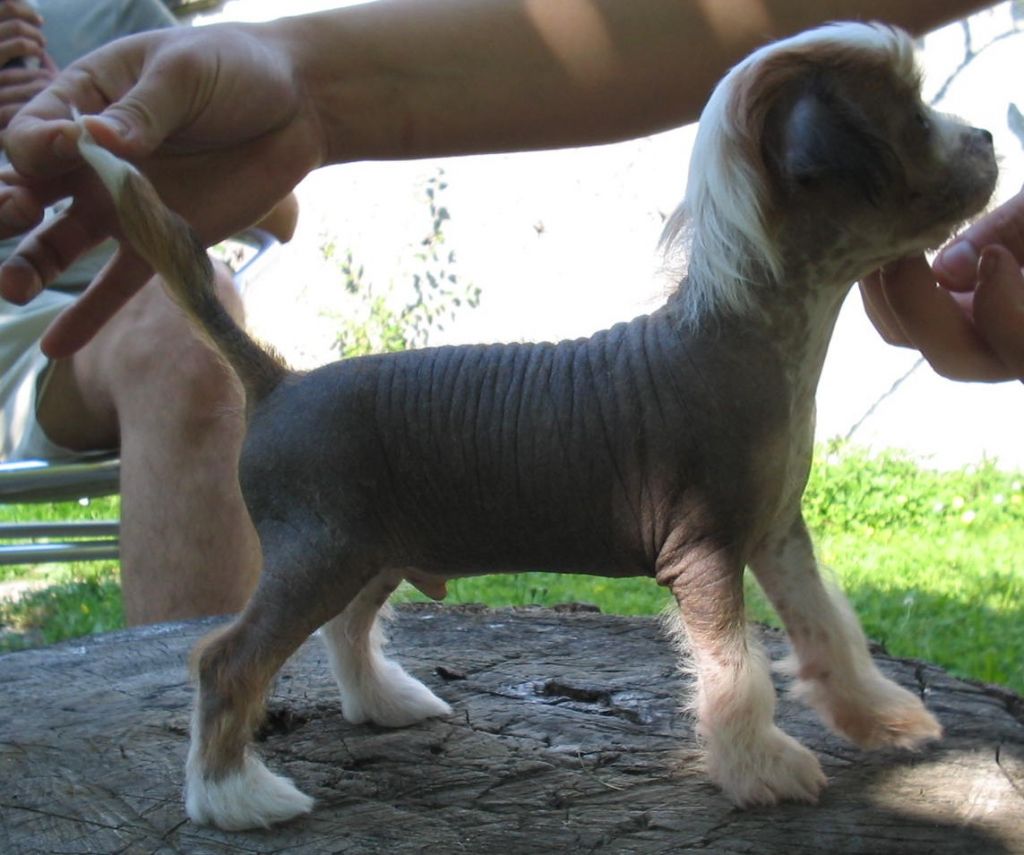 Stars at Sea An Expectation