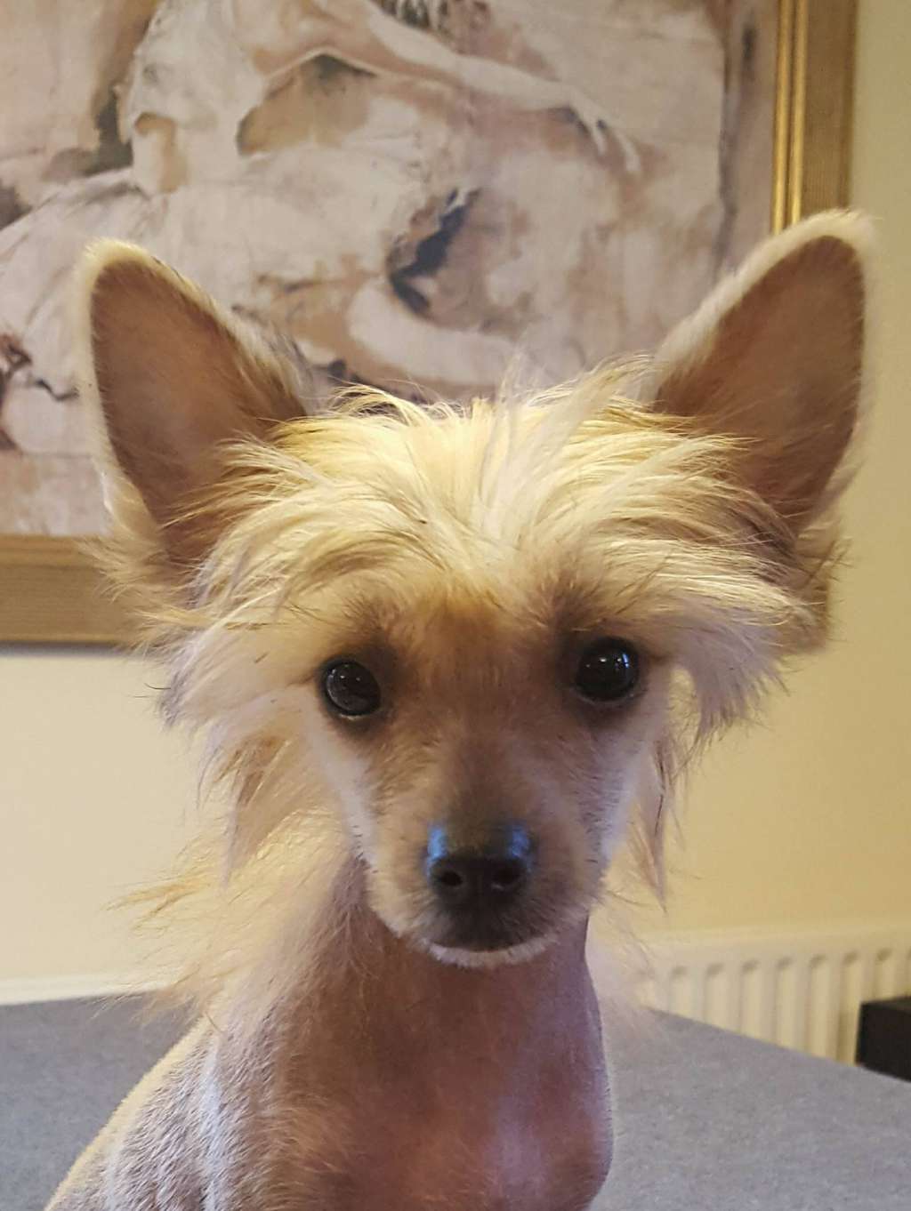 Talltales Kiss Me Kate