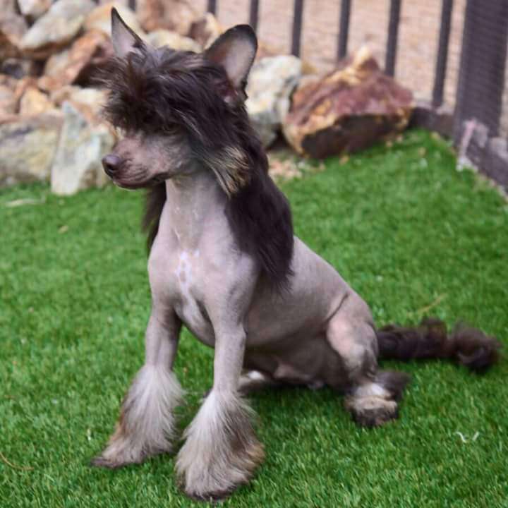 Vintage Elegance Dark And Stormy Attire