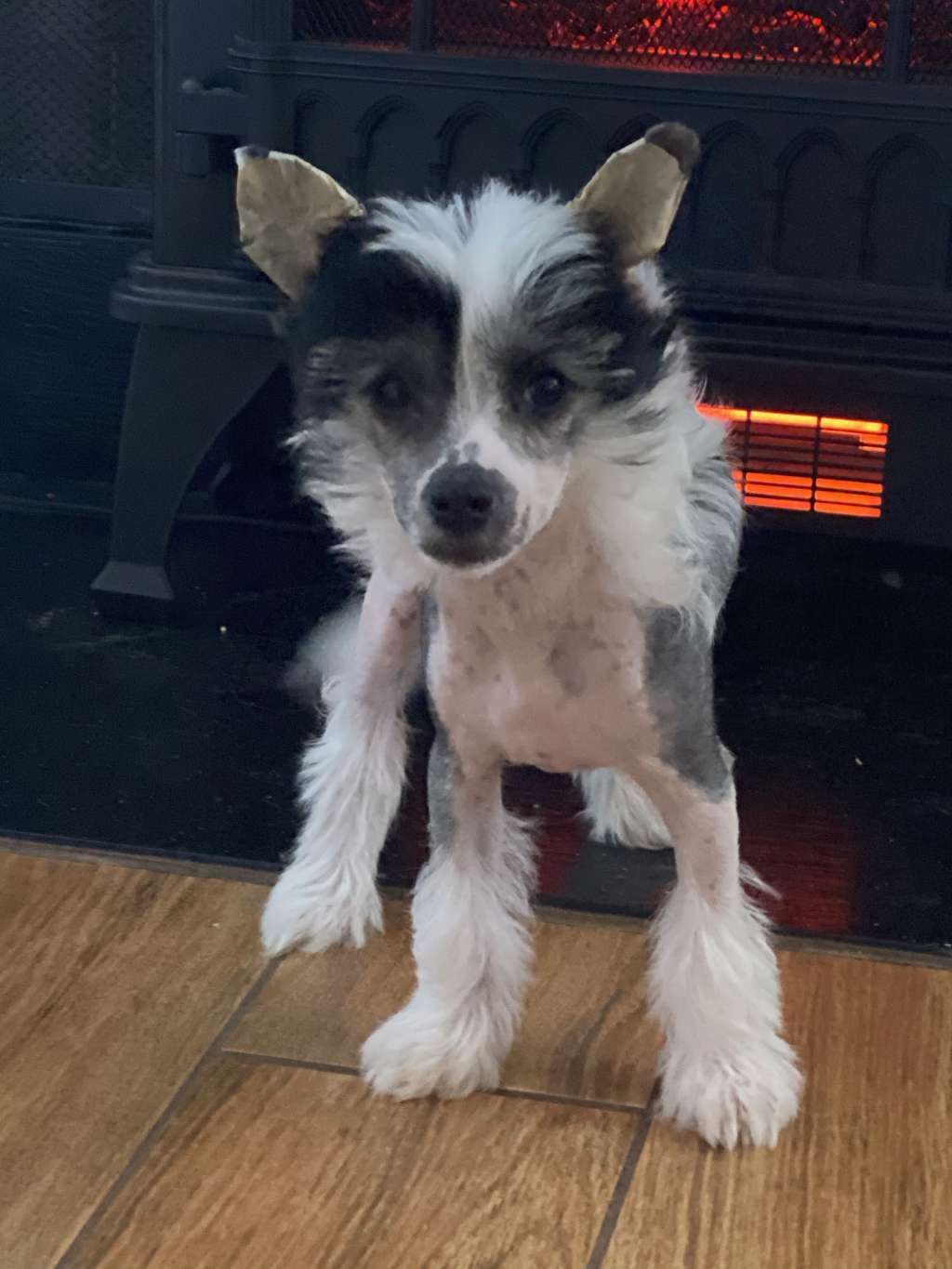 Crowned Promise Keeper