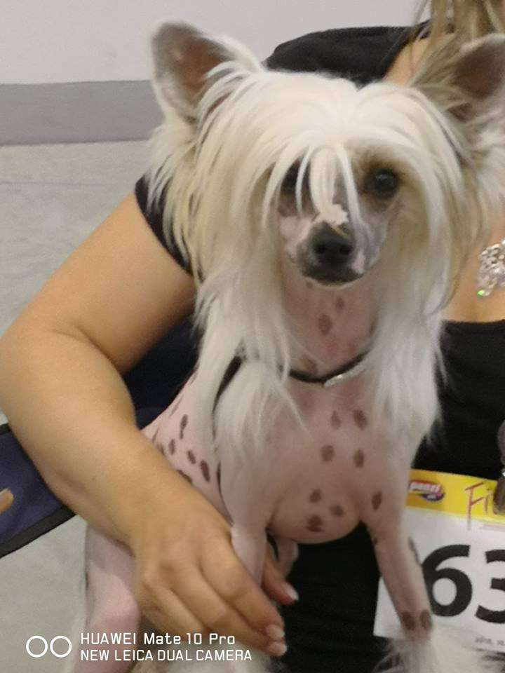 Fundoklia-völgyi Kaszanics Marye