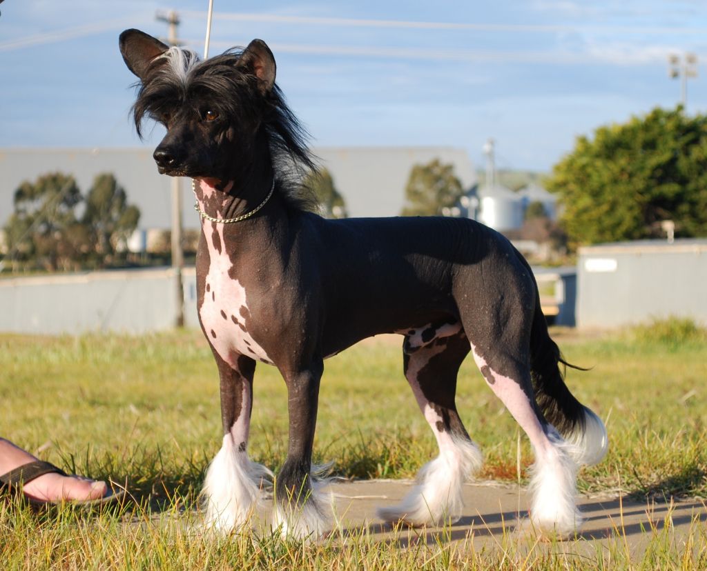 Kimissa Vienna After Dark