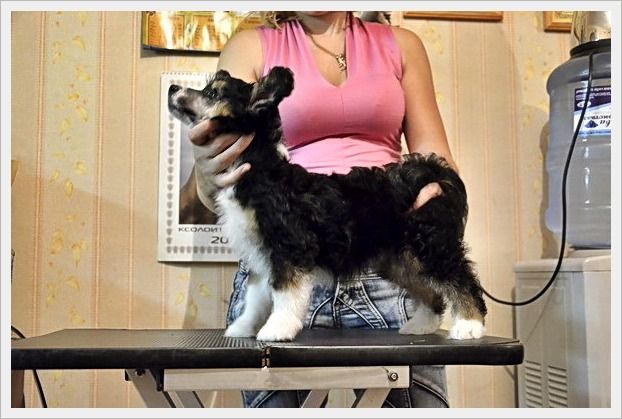 Elance Louange Gamble Biz