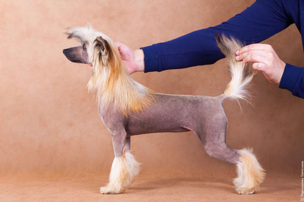 Rolana Family Virginia