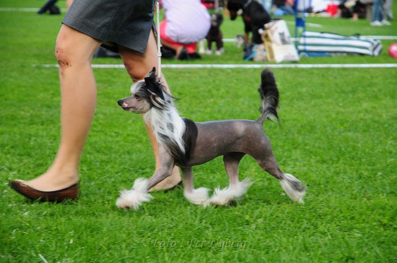 Sun-Hee's Rose High & Magic