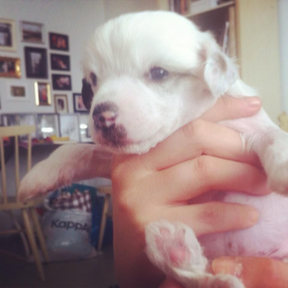 Three Cheers for Rock the East Bloc