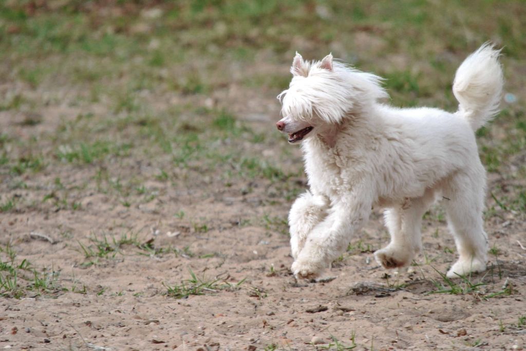 Delende Koridawn Three Mile Smile