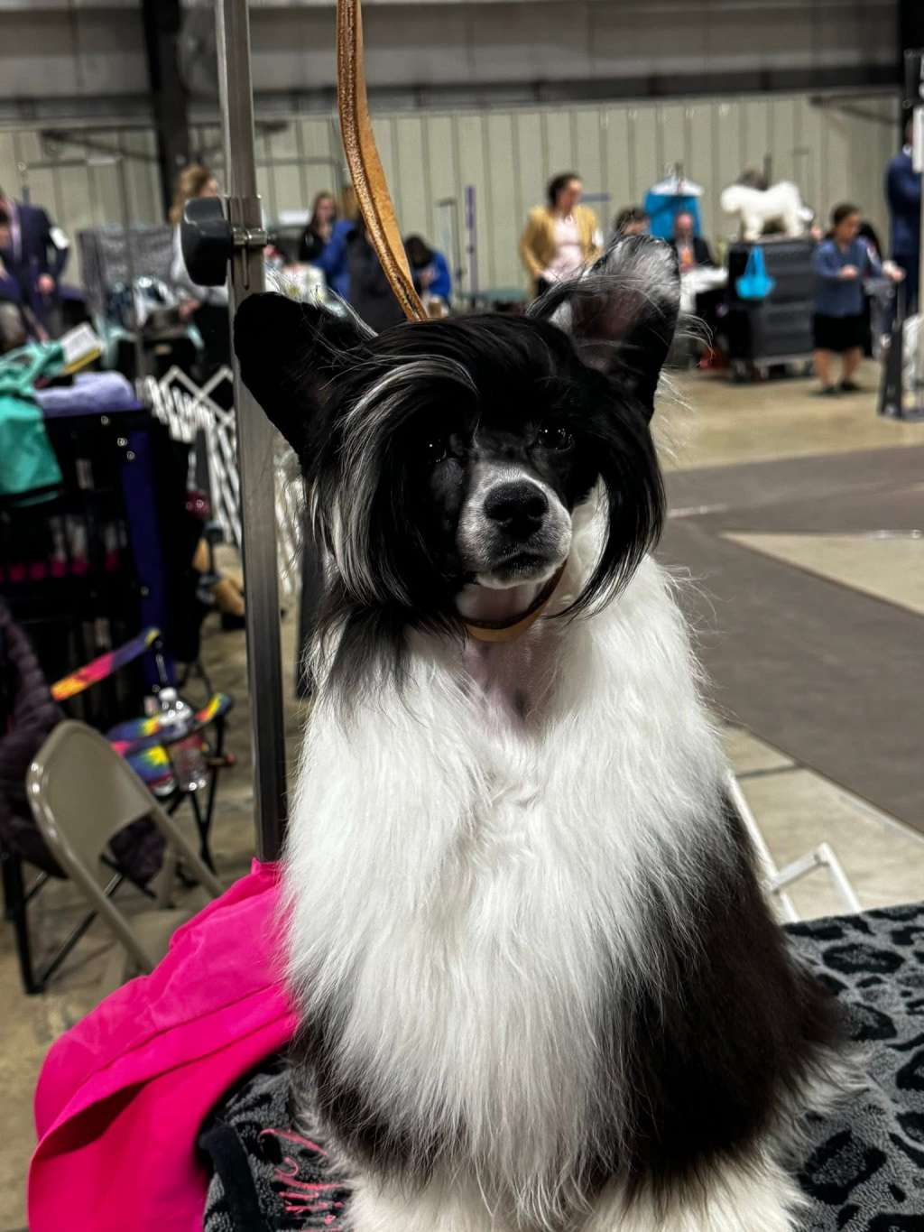 Stars at Sea Xipe-Totec