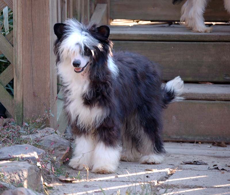 Silver Bluff Dressed Up For MardiGra