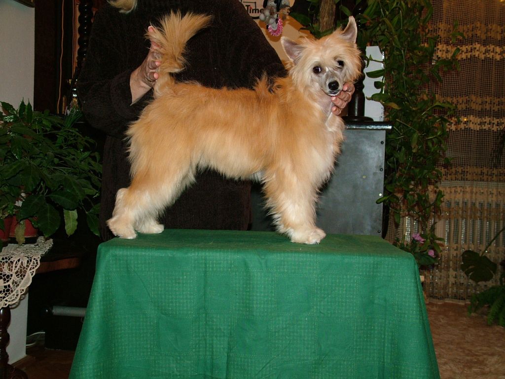 Picture